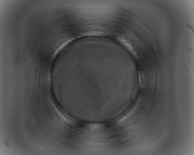 X0000091680348200709201243