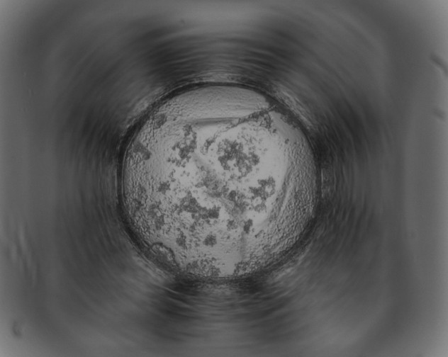 X0000091680349200709201243