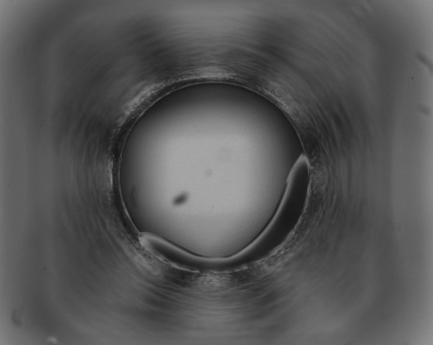 X0000091680350200709201243