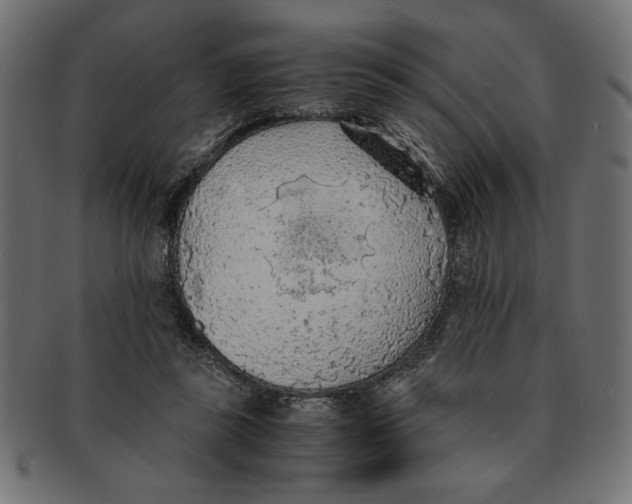 X0000091680355200709201243