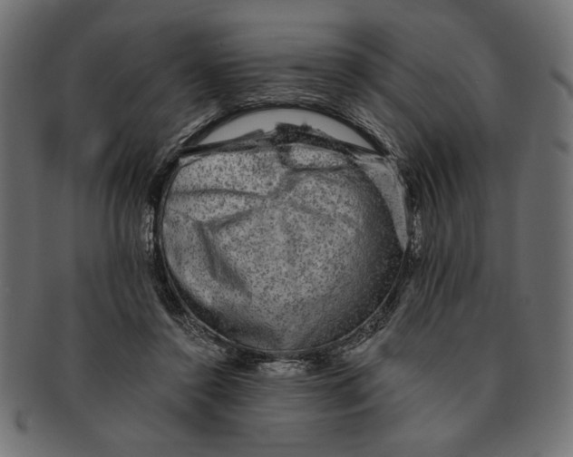 X0000091680356200709201243