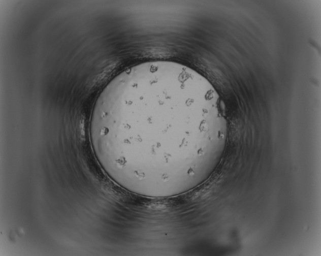 X0000091680358200709201243