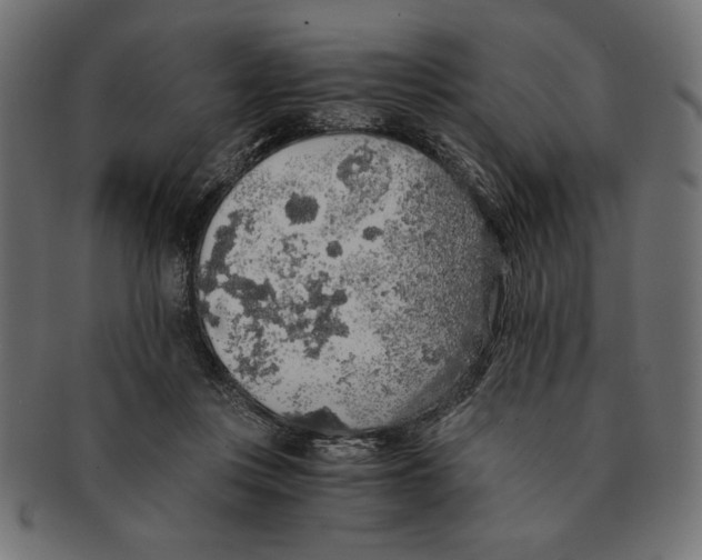 X0000091680359200709201243