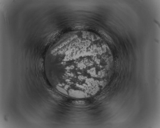 X0000091680361200709201243