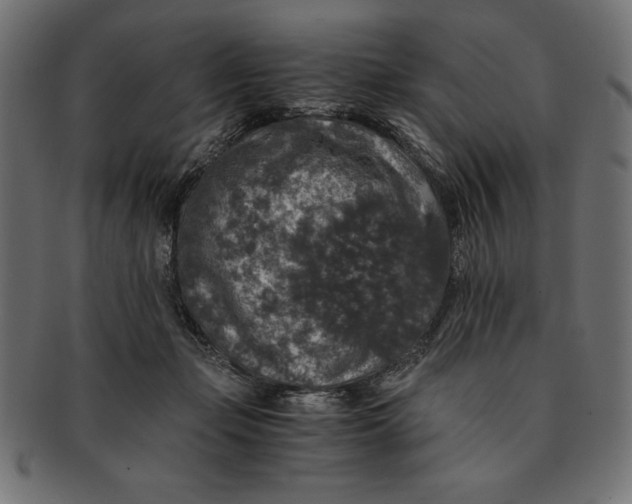 X0000091680365200709201243