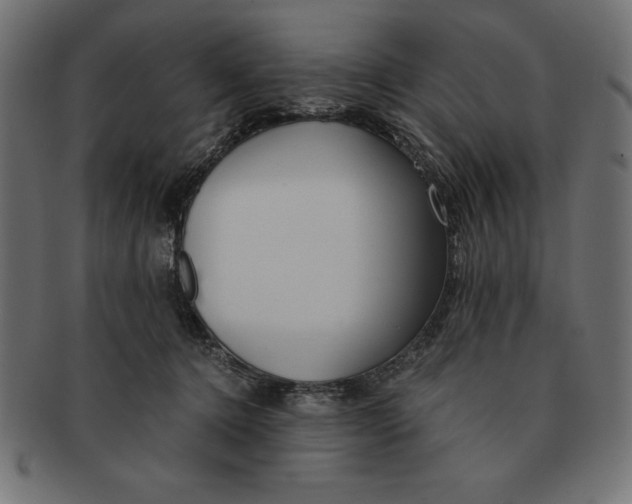 X0000091680368200709201243