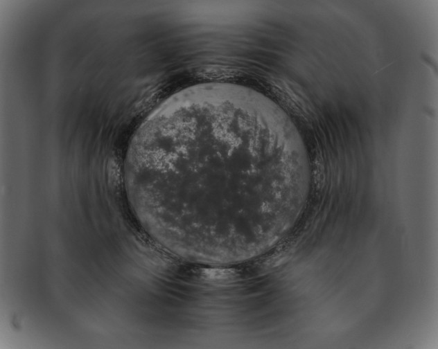 X0000091680371200709201243