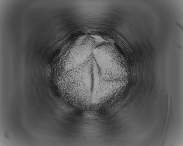 X0000091680372200709201243