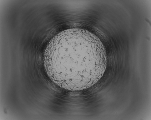 X0000091680373200709201243