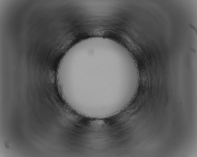 X0000091680374200709201243