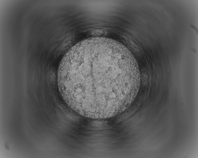 X0000091680375200709201243