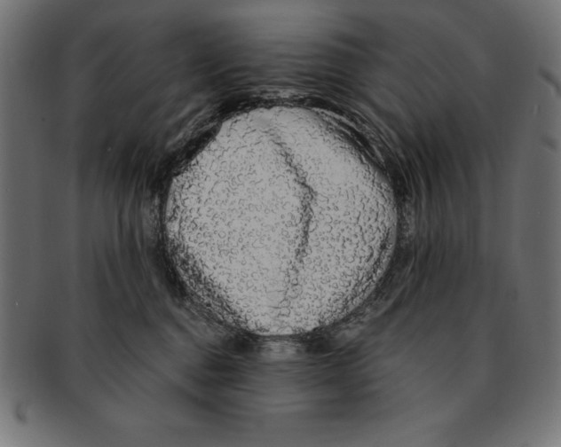 X0000091680376200709201243