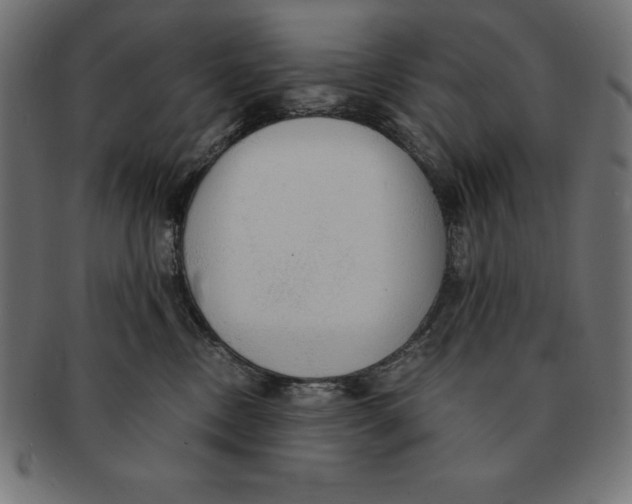 X0000091680378200709201243