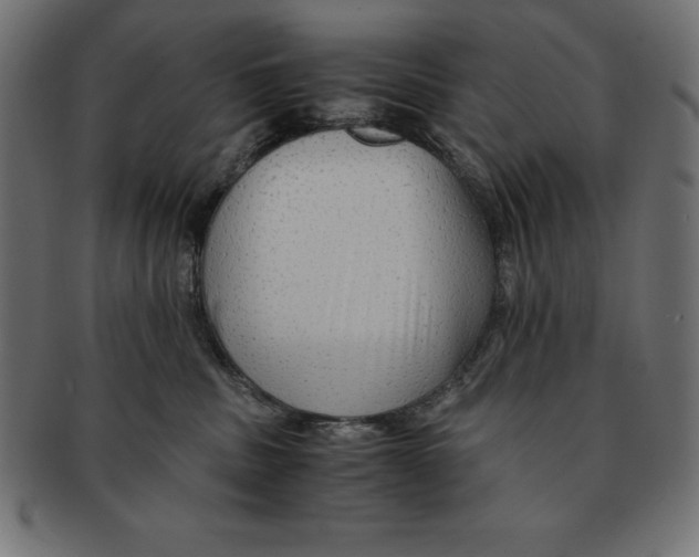 X0000091680379200709201243