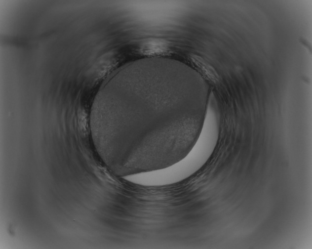 X0000091680380200709201243