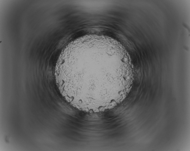 X0000091680381200709201243