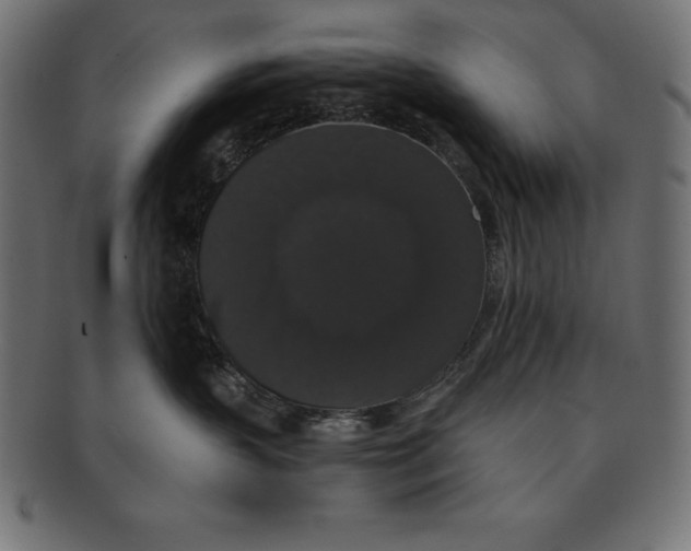 X0000091680383200709201243