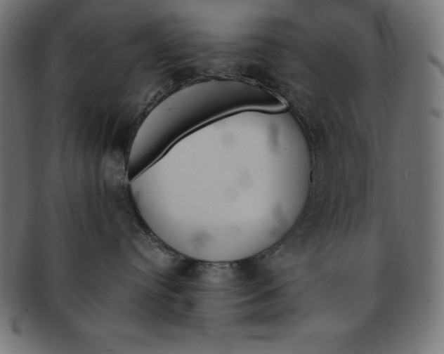 X0000091680384200709201243