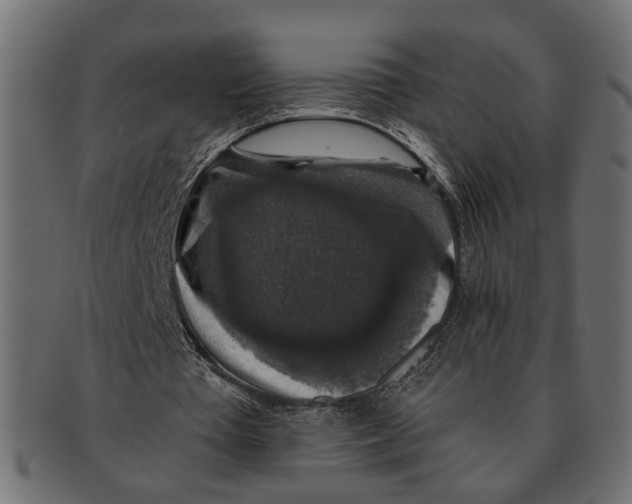 X0000091680385200709201243