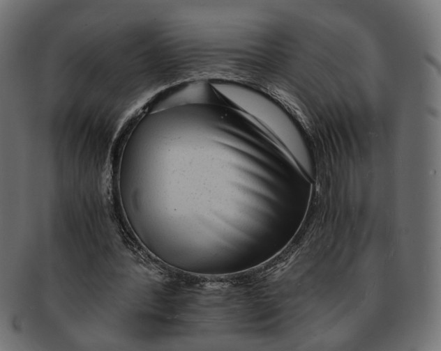 X0000091680388200709201243