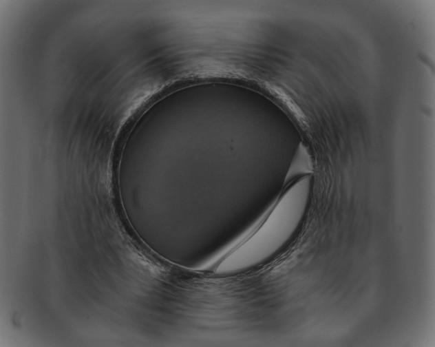 X0000091680391200709201243