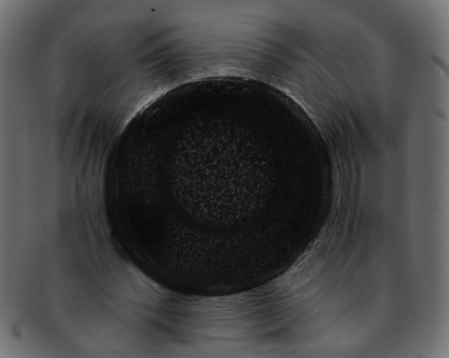 X0000091680392200709201243