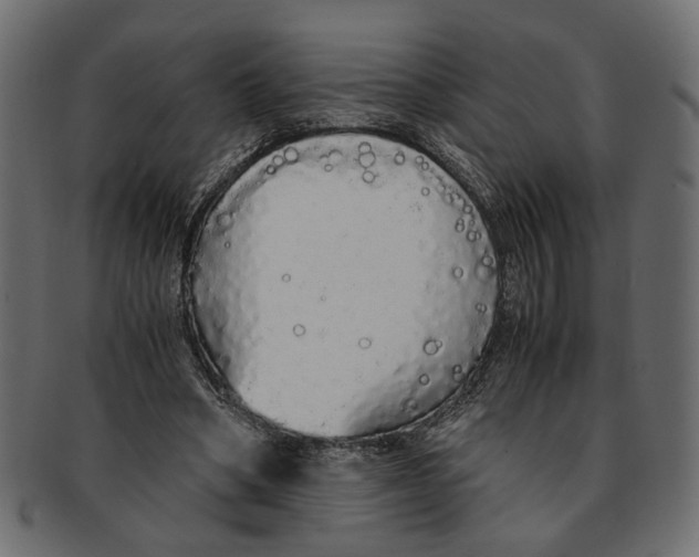 X0000091680394200709201243