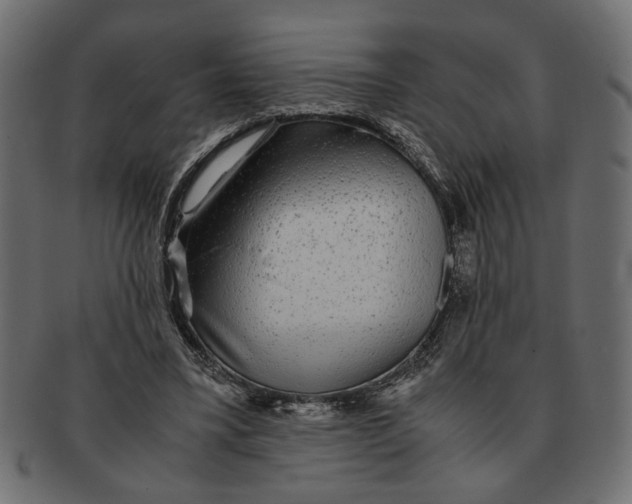 X0000091680395200709201243