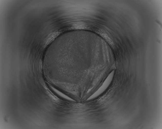 X0000091680397200709201243