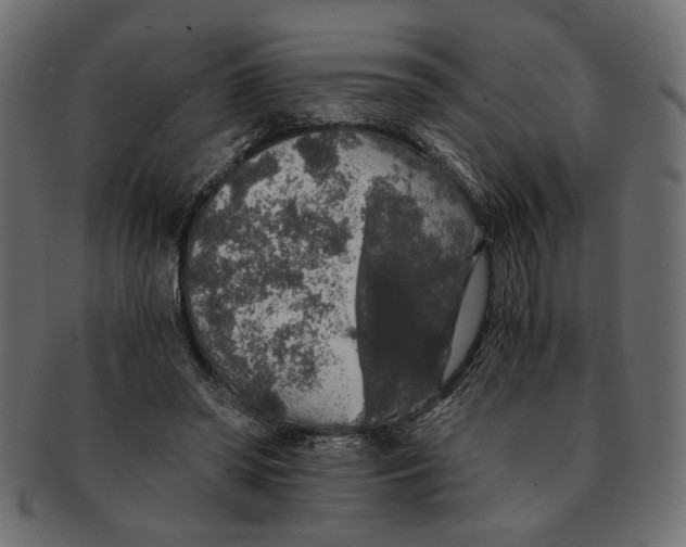 X0000091680398200709201243