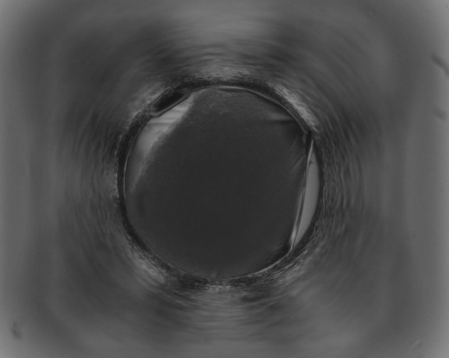 X0000091680399200709201243