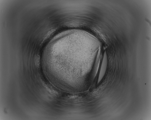 X0000091680400200709201243