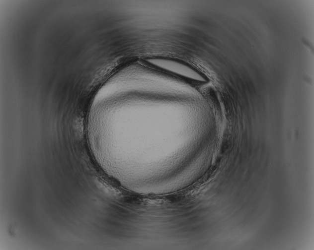 X0000091680401200709201243