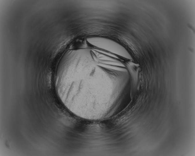 X0000091680404200709201242