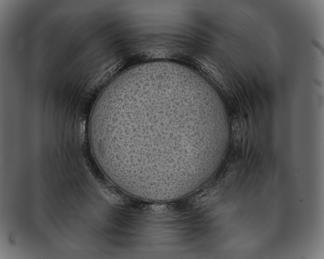 X0000091680406200709201242