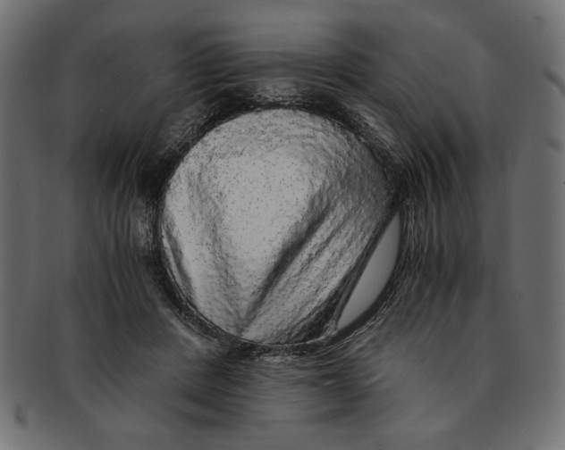 X0000091680408200709201242