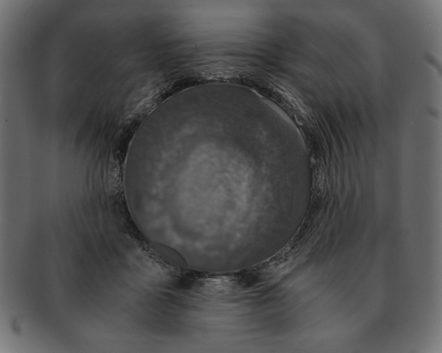 X0000091680411200709201242