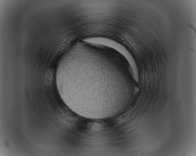 X0000091680412200709201242