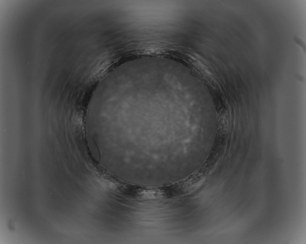 X0000091680415200709201242