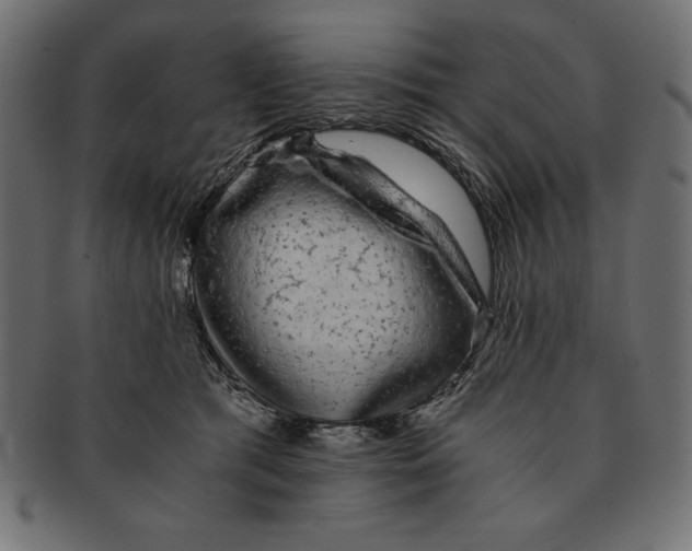 X0000091680417200709201242