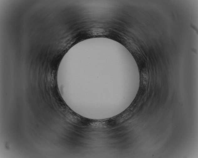 X0000091680422200709201242