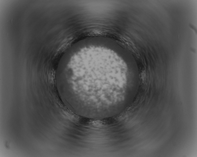 X0000091680423200709201242