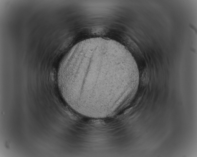 X0000091680424200709201242