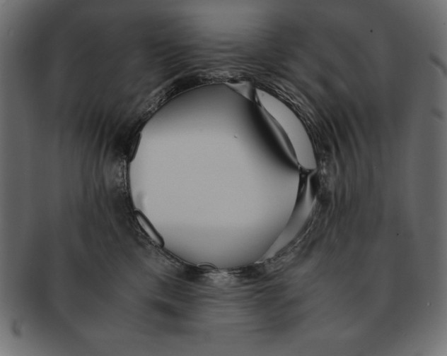 X0000091680425200709201242