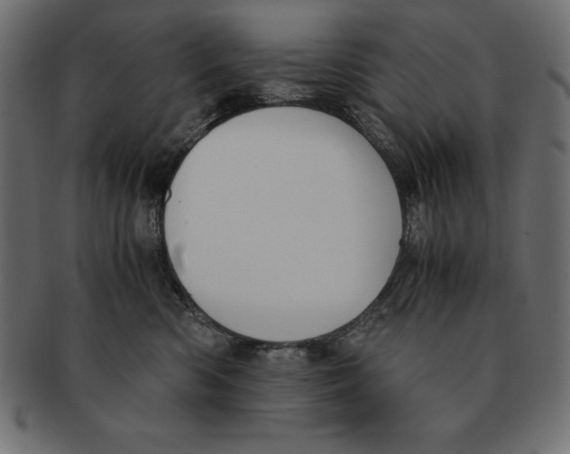 X0000091680426200709201242