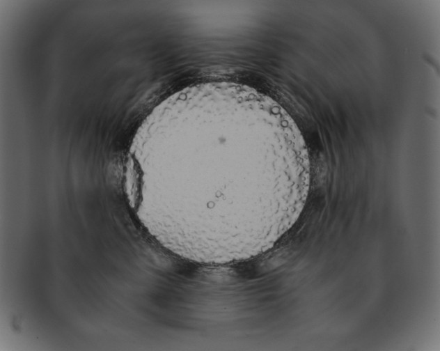 X0000091680427200709201242