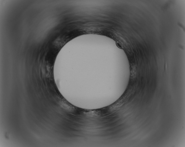 X0000091680430200709201242