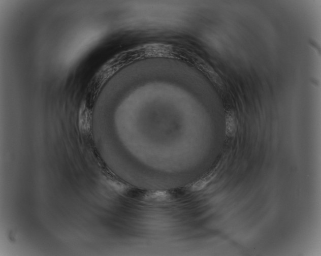 X0000091680431200709201242