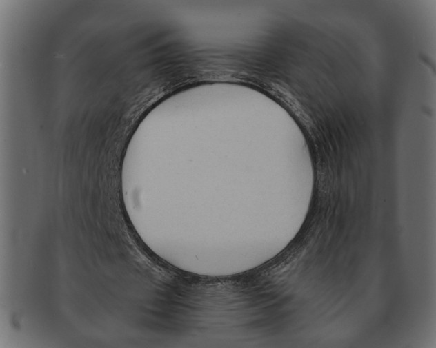 X0000091680433200709201242