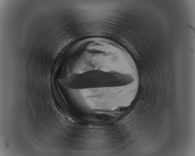 X0000091680434200709201242